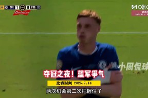 包含锐不可当引发热议!,浓眉哥在巴黎圣日耳曼比赛中反败为胜全场沸腾不已的词条-开云体育